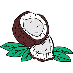 coconut flat illustration on isolated white