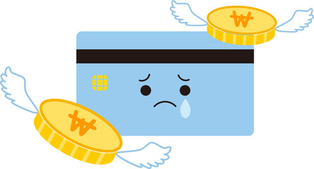 카드와 돈