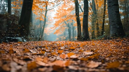 Autumn path through misty forest, leaf-covered ground - Powered by Adobe
