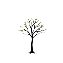 Obraz premium tree silhouette with young green leaves sprouting, symbolizing the beginning of growth, spring, and renewal. Represents concepts such as youth, potential, development, new life, hope, resilience