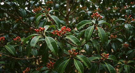 Plant Branches with Red Buds and Green Leaves Captured in Natural Light