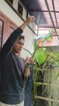 A Southeast Asian man examining growing, orchid vanda plant in a home garden, hobbies, small business, 4K Video