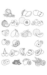set of hand drawn fruits and berries
