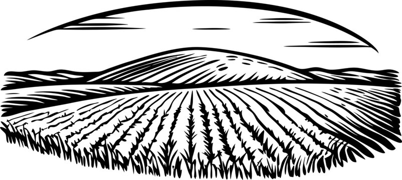 woodcut illustration of agricultural countryside landscape with rolling hills and fields