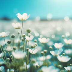 Tranquil White Wildflowers – Serene Soft Focus Floral Art