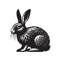 Hare Vector - Minimalist Hare Design - Hare Vector - Illustration of Hare.