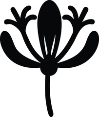 kangaroo paw flower logo