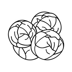 brussels sprouts icon, brussels sprouts line art - simple line art of brussels sprouts, perfect for brussels sprouts logos and icons