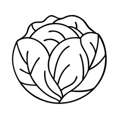 cabbage icon, cabbage line art - simple line art of cabbage, perfect for cabbage logos and icons