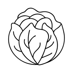 cabbage icon, cabbage line art - simple line art of cabbage, perfect for cabbage logos and icons