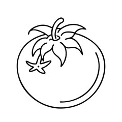 cherry tomato icon, cherry tomato line art - simple line art of cherry tomato, perfect for cherry tomato logos and icons