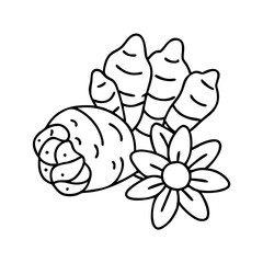 jerusalem artichoke icon, jerusalem artichoke line art - simple line art of jerusalem artichoke, perfect for jerusalem artichoke logos and icons
