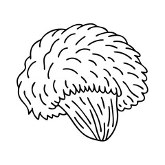 lion s mane mushroom icon, lion s mane mushroom line art - simple line art of lion s mane mushroom, perfect for lion s mane mushroom logos and icons