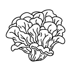maitake mushroom icon, maitake mushroom line art - simple line art of maitake mushroom, perfect for maitake mushroom logos and icons