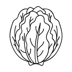radicchio icon, radicchio line art - simple line art of radicchio, perfect for radicchio logos and icons