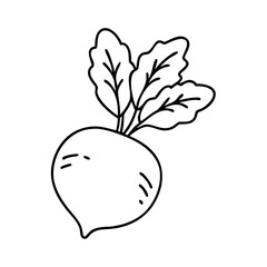 radish icon, radish line art - simple line art of radish, perfect for radish logos and icons