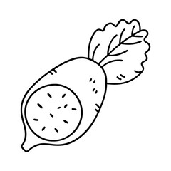 radish slice icon, radish slice line art - simple line art of radish slice, perfect for radish slice logos and icons