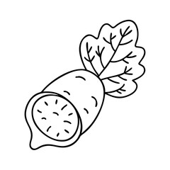 radish slice icon, radish slice line art - simple line art of radish slice, perfect for radish slice logos and icons
