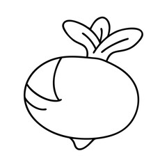 rutabaga icon, rutabaga line art - simple line art of rutabaga, perfect for rutabaga logos and icons