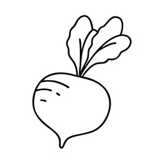 turnip icon, turnip line art - simple line art of turnip, perfect for turnip logos and icons
