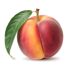 peach isolated on white
