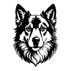 Dog Portrait, Canine Head, Animal Illustration, Black and White Art, Pet Drawing