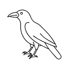 crow icon, crow line art - simple line art of crow, perfect for crow logos and icons