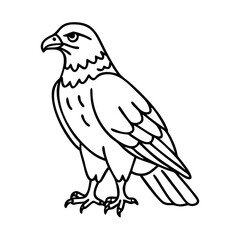 falcon icon, falcon line art - simple line art of falcon, perfect for falcon logos and icons