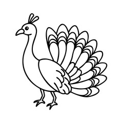 peacock icon, peacock line art - simple line art of peacock, perfect for peacock logos and icons