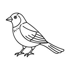 Obraz premium sparrow icon, sparrow line art - simple line art of sparrow, perfect for sparrow logos and icons