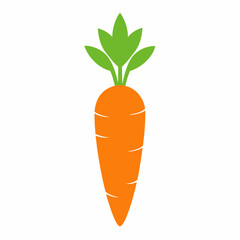 carrot vector illustration