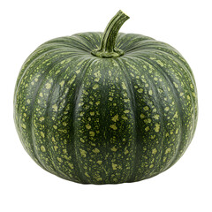 Green Pumpkin: High-Res Image & Stock Photo