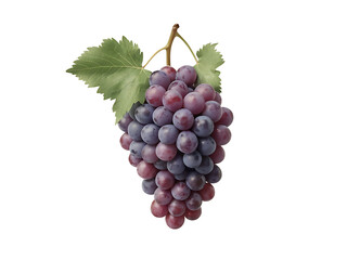 Fototapeta premium png grapes