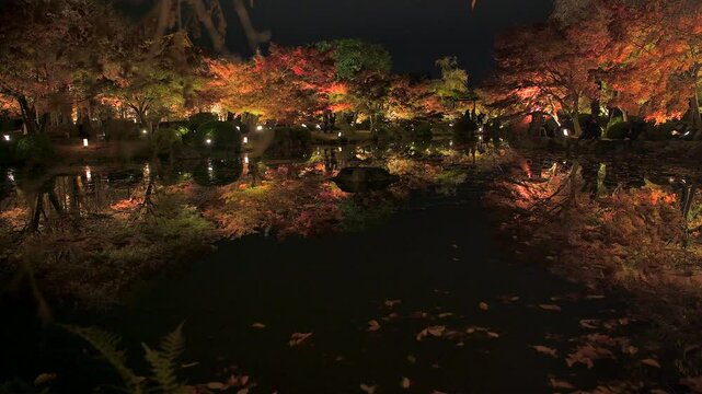 京都 東寺 秋夜の庭園風景