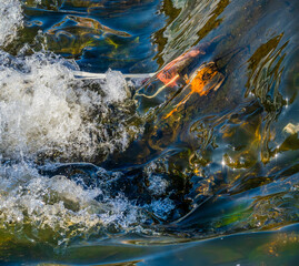 Water in a swirling stream of water close-up.