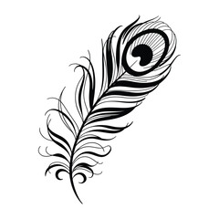 Flowing Peacock Feathers Line Art, Silhouette, Vector, Icon, Logo, White Background.