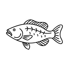 barramundi icon, barramundi line art - simple line art of barramundi, perfect for barramundi logos and icons