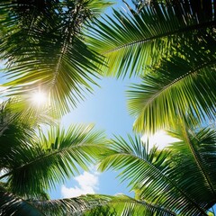 Fototapeta premium Low angle view of bright green tropical palm leaves against blue sky with sun flare