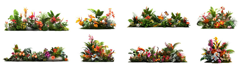 Set of tropical plants flowers garden decoration, bush, flower park, isolated on white background, png