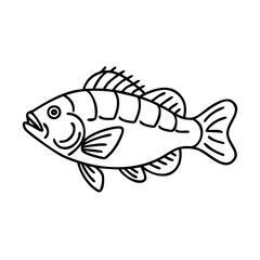 peacock bass icon, peacock bass line art - simple line art of peacock bass, perfect for peacock bass logos and icons