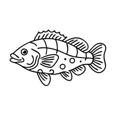 peacock bass icon, peacock bass line art - simple line art of peacock bass, perfect for peacock bass logos and icons