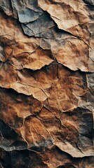 Crinkled Paper Texture Closeup