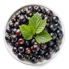 Fototapeta premium A Bowl of Freshly Picked Black Currants with Lush Green Leaves
