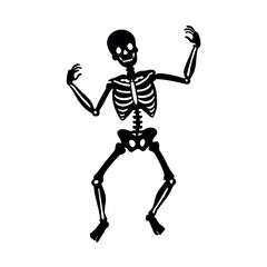 Fototapeta premium skeleton with a skull