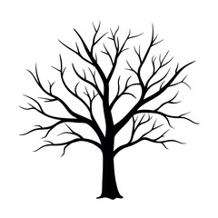 Obraz premium bare-tree-branches