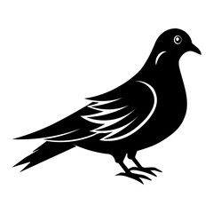 Dove  of peace silhouette vector design. 