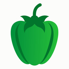 vector illustration of a tomato