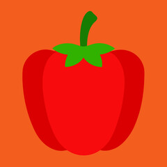 vector illustration of tomato