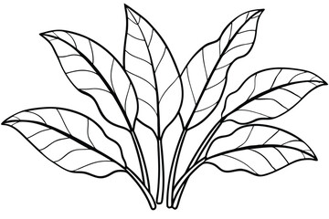 Plantain Leaf Line Art Style for Garden Inspired Artwork  