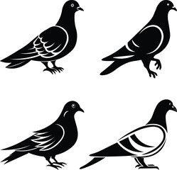 Pigeon vector silhouette set graphics design. 